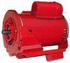 Bell & Gossett Motor for PD-38 & 39 single phase