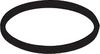 Delta O-Ring