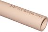 3/4" CPVC Pipe, 10'